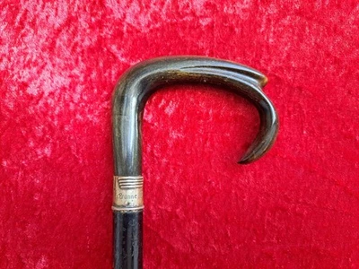 Beautiful, old Walking Stick, Cane, Wood, With 800 Silver, Engraved: 1910 - Image 1 of 4