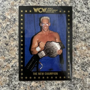 Tarjeta coleccionable Championship Marketing WCW Sting 1991 “The New Champion” #82 - Imagen 1 de 2