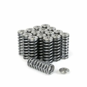 Kit de resorte y retención de válvulas de titanio serie Skunk2 serie Alpha para Honda serie D VTEC - Imagen 1 de 5