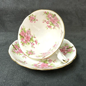 New Chelsea STAFFS 3063 Cup and Saucer Set - Picture 1 of 5