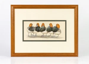 Art LaMay “The Bully Boys” Framed Print Wood Frame Matted Signed Ducks Nature - Picture 1 of 14