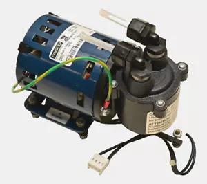 FASCO Cole Parmer pompa aria/vuoto diaframma stile produttore di apparecchiature originali 115 V 71637137/U63B1/D-1728 - Foto 1 di 9