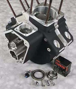 BLACK ENGINE CASE BIG BORE EVO HARLEY MOTOR SOFTAIL FXR FXRS ELECTRA GLIDE TOUR - Picture 1 of 1