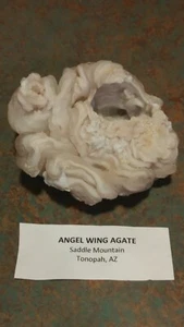 Großer natürlicher weißer Engelsflügel Achat Präparat Sattel Berg Tonopah, Arizona - Bild 1 von 7