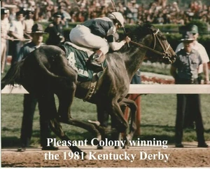 1981 - Colonia agradable ganando el Derby de Kentucky - primer plano en color - 10"" x 8" - Imagen 1 de 1