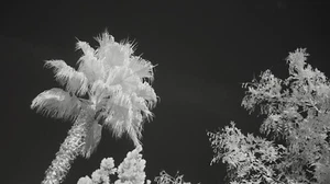 Infrared 850 nm Sony A5000 20.1MP CSC ILCE-5000L E-Mount IR Ghost Landscape - Picture 1 of 8