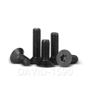 Bullone viti torx testa piatta svasata in acciaio legato nero M3 M4 M5 M6 M8 M10 - Foto 1 di 5