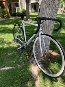 Motobecane Single Speed 52cm Chromoly Frame Road Bike Bicycle - Picture 1 of 9