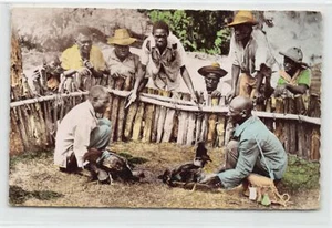 Haiti - Cock fighters - Publ. unknown - Picture 1 of 2