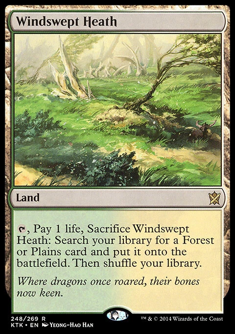 WINDSWEPT HEATH NM Khans of Tarkir MTG Land - Rare - Image 1 of 1