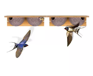 2x Doppel Schwalbennest Schwalben Nistkasten Nisthilfe für Mehlschwalben Nester - Bild 1 von 6