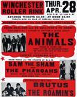 The Animals - Sam The Sham - 1966 - Winchester Roller Rink - Concert Magnet