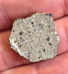 NWA XXXX Howardite 1.29g Meteorite Slice Northwest Africa (Unclassified) - Picture 1 of 7