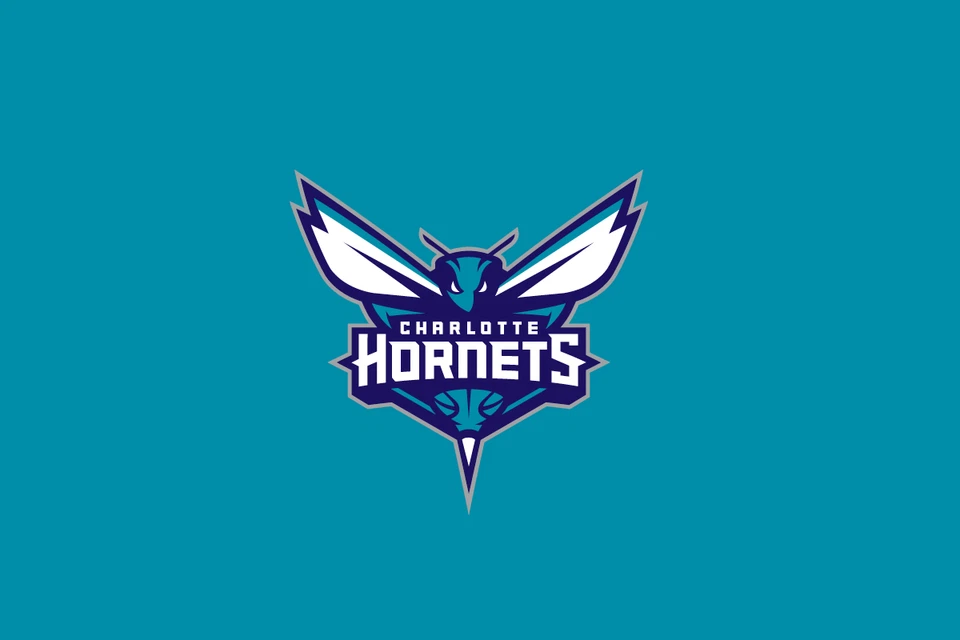 2-4 entradas 2025-26 Charlotte Hornets baloncesto--todos los juegos en casa disponibles Foto 1 de 1
