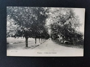 CPA 89 RUGNY - L'Allée des Tilleuls - Imagen 1 de 2