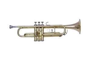MIGLIORE OFFERTA NUOVO ANNO AFFRETTATEVI!!! NUOVISSIMA FINITURA OTTONE B TROMBA PIATTA - Foto 1 di 5