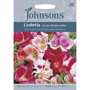 Johnsons Godetia Azalea Double Mixed Flowers - Stunning Mix of Blooms - Picture 1 of 2