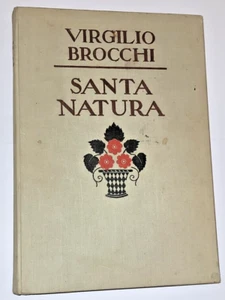 1929 SANTA NATURA libro ilustrado V.N. para niños VIRGILIO BROCCHI - MONDADORI - Imagen 1 de 22