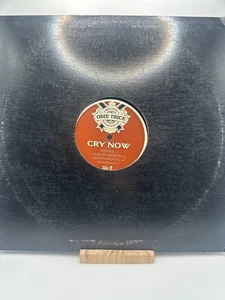 OBIE TRICE - CRY NOW - SHADY RECORDS - VINYL LP - Picture 1 of 2