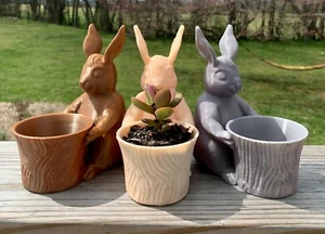 Spring Garden Bunny Rabbit Succulent 3D Printed Planter Pot - Picture 1 of 6