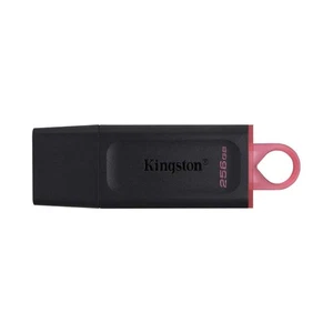 Kingston DataTraveler Exodia 256GB USB3.2 Gen1 Unità Flash (DTX/256GB) - Foto 1 di 2
