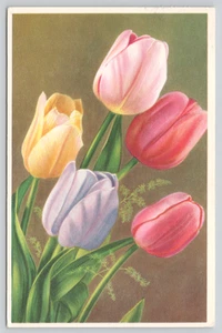 Postcard Colorful Tulips Flowers by Alfred Mainzer Botany Floral - Picture 1 of 2