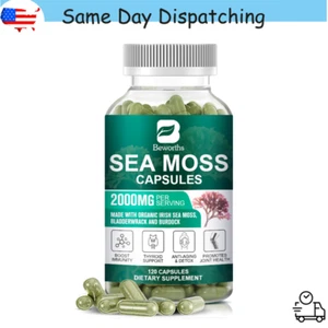 Organic Sea Moss Capsules, Irish Sea Moss Bladderwrack Dietary Supplement 120pcs - Picture 1 of 8