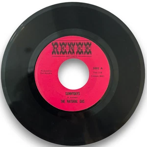 The Natural Gas–Sunnydays / Rube - Owners Personal Copy (7" Vinyl 45) New & Rare - Imagen 1 de 2