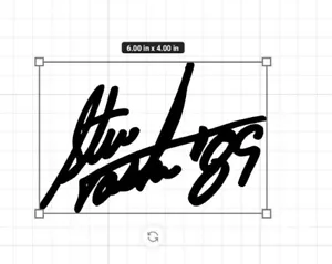 Steve Tasker Buffalo Facsimile Signature Autograph Vinyl Sticker Bills Mafia! - Picture 1 of 5
