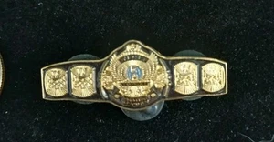 WWF Classic Gold Winged Eagle Championship Belt Replica Custom ENAMEL PIN Inter - Picture 1 of 4