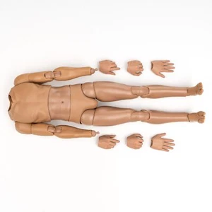 Body & Hands for DID MA80181 US Navy Naval Aviator Lieutenant Pete 1/6 Scale - Picture 1 of 1