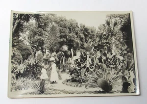 Del Monte Hotel Garden Photograph 1890s Victorian Ladies Cactus Monterey CA - Picture 1 of 4