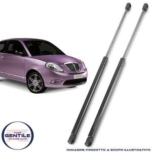 KIT MOLLE A GAS PISTONCINI COFANO BAULE POSTERIORE LANCIA YPSILON 843 COPPIA - Foto 1 di 3