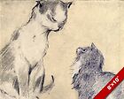 OLDER WISER CAT & PLAYFUL KITTEN PET ANIMAL ART PAINTING REAL CANVAS PRINT