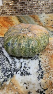 Calabaza Squash Seeds (30) / Non - Gmo / Organic / FLORIDA GROWN / Pie Pumpkin - Picture 1 of 3