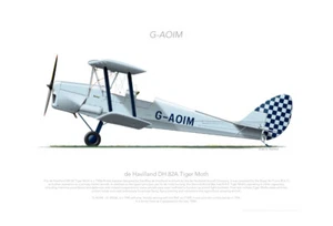 DH-82A TIGER MOTH G-AOIM UK 1959 - A3+ Profile Print - Picture 1 of 4
