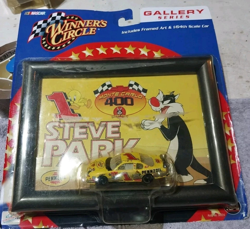 Steve Park NASCAR Gallery Series Marco Arte Diecast Coche DAÑO POR AGUA Foto 1 de 1