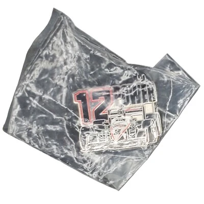 WinCraft Indycar Racing League Indy 500 Will Power #12 Verizon Lapel Pin NIP - Image 1 of 2