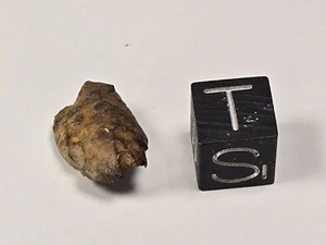 Whitecourt Iron IIIAB Alberta, Canada Found 2007 3.7 g - Picture 1 of 6