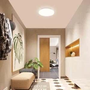 Lampada da soffitto LED, 4000K Bianco Morbido Caldo, 15W Equivalente a 120W, Super Luminosa 1 - Foto 1 di 5