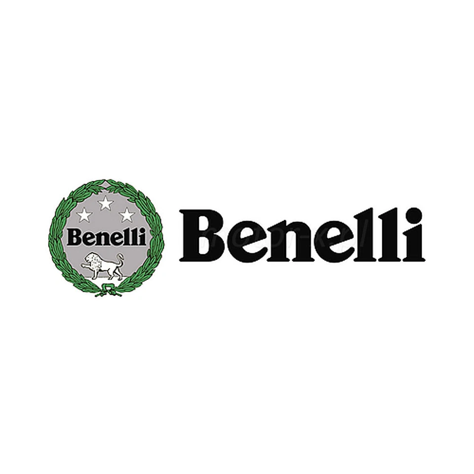 Benelli 400 Imperiale 2019 - 2021 Genuine Engine Oil/Strainer Filter 15921636000 - Image 1 of 1