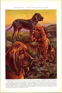 PRINT ARTICLE 1937 Hark to the Hounds Dog Breeds Artwork Freeman Lloyd 32 Pgs - Picture 1 of 10