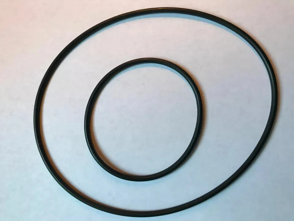 KIT CINGHIE DI RICAMBIO 2 x PROIETTORE STANDARD 8 mm SILMA COMPACT 8 - Immagine 1 di 1