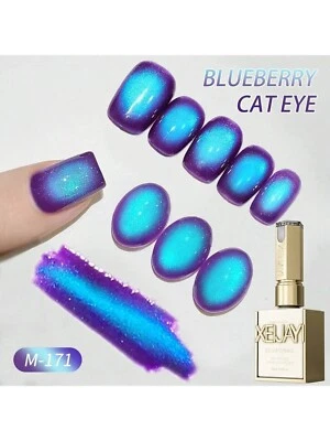 Blueberry Cat Eye Gel Nagellack UV LED Soak Off Magnetischer Effekt 15ml - Bild 1 von 4