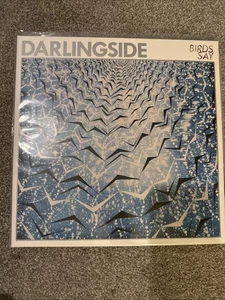 Darlingside - Birds Say 2xLP Vinyl - Bild 1 von 4