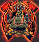 Cal Fire Ventura Co 45 Patch Painting Print