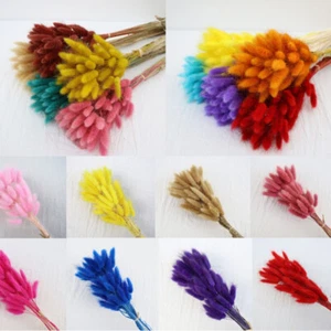 60pcs Rabbittail Setaria Flowers Bouquet Dried Flower Plants Wedding Party Decor - Picture 1 of 28