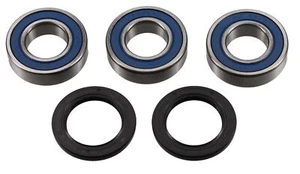 ALL BALLS kit de rodamientos de rueda trasero se adapta Suzuki RM 125 250 00-08 - Imagen 1 de 1