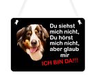Warnschild Türschild Schild Eingangsschild Berner Sennenhund Hund Wetterfest
