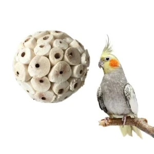 Parrot Bird Accessories Budgies Bird Toy Grinding Toy Sola Ball Interactive Toy - Picture 1 of 12